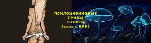 spice Тихорецк