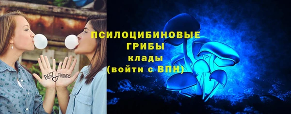 mdpv Волоколамск